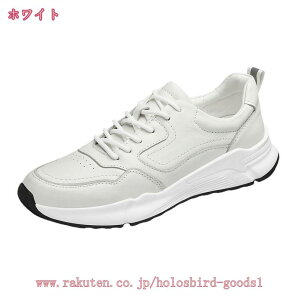 1000~OFFN[| y Xj[J[ Y 傫TCY [Jbg j fbLV[Y JWAV[Y ʊw d C EH[LOV[Y TCY ʋC ďH Vv RtH