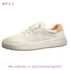 1000~OFFN[| JWAV[Y Y [XAbv [Jbg Xj[J[ Vv y rWlXV[Y ₷ ₷ fbLV[Y 傫TCY RtH[gV