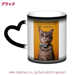 300~OFFN[| }OJbv 킢 e JX^}CY I[_[Ch   yA Rbv Jbv H JtFJbv Vv LO VN 蕨 Mtg v[g 