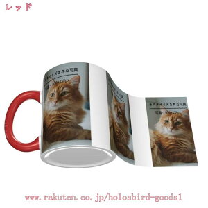 300~OFFN[| JX^}CY }OJbv  JbvJbv  ݕpJbv JX^}CY ʐ^ IWi Ƒ  ybg O 킢 R[q[Jbv NX}X