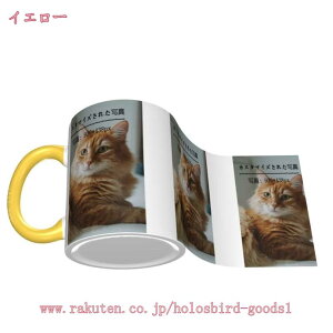 300~OFFN[| JX^}CY }OJbv  JbvJbv  ݕpJbv JX^}CY ʐ^ IWi Ƒ  ybg O 킢 R[q[Jbv NX}X