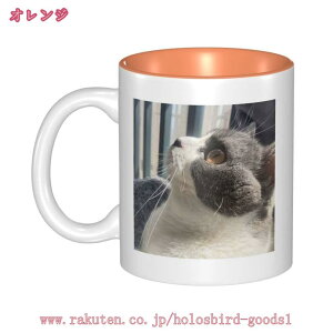 777~OFFN[| }OJbv 킢 e JX^}CY I[_[Ch  k 傫  yA Rbv Jbv H JtFJbv Vv LO VN 蕨 Mtg v[