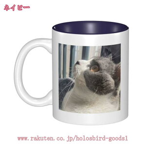 }OJbv 킢 e JX^}CY I[_[Ch  k 傫  yA Rbv Jbv H JtFJbv Vv LO VN 蕨 Mtg v[g  