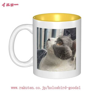 }OJbv k  IWifUC 킢 pI Ԃy Mtg v[g  j  }OJbv eB[Jbv  j  ʐ^vg 2