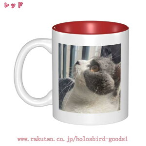 }OJbv k  IWifUC 킢 pI Ԃy Mtg v[g  j  }OJbv eB[Jbv  j  ʐ^vg 2