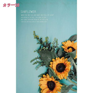 ̂ Ԏd؂ J[e  O g a k  ډB J[e  n _  ̂ Ȃ Ռ ډB  ̂ {I Lb` rO o 