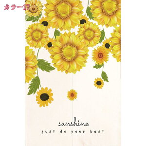 777~OFFN[| Ђ܂ ̂ a ډB O g Ǌ| Ռ fM Ց g Ԑ؂ ډB  Vv Lb` lGp  JtFJ[e  ʏ hAJ[e 