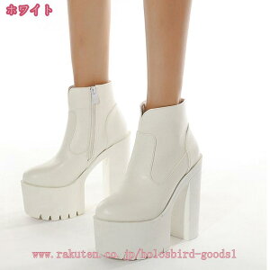 1000~OFFN[| V[gu[c fB[X ANu[c  q[ TChWbv r Vv u[c V[gu[c fB[Xu[c 傫TCY TCY  Eh