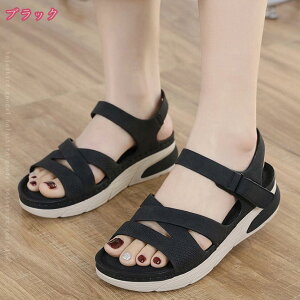 500~OFFN[| T_ fB[X ₷ [q[  T_ fB[X EFbW\[T_ n Vv ItBXT_ y ₷ ʋC  EFbW