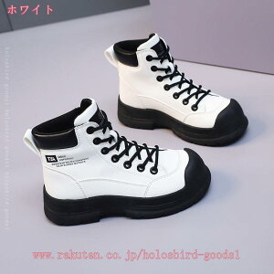 1000~OFFN[| CfBOu[c fB[X ANu[c  h lC V[gu[c [Nu[c ҂ݏグu[c oCNu[c ₷ nCJbg X y 킢 