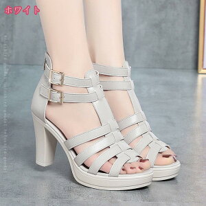 TCY Xgbv T_ nCq[ r pvX Lo     8.5cm q[ ɂȂ EȂ I[vgD Xg[ C fB[X pvX q[ hX l