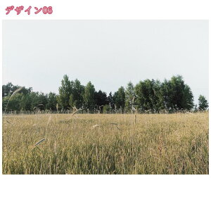 300~OFFN[| A CeA G t[ |X^[ 1  G   L rO[ xbh[ ΂̃WO R Xї Mtg i G敗 ǎ|X^[ 