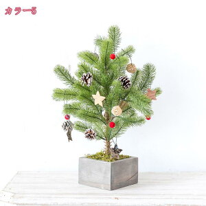 1000~OFFN[| ᏼ NX}Xc[  ~jc[ NX}X k ^ ~jc[ NX}X 펞_  LL ͋CX ؐXy[X NX}Xc[ u