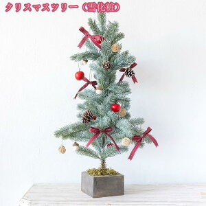 1000~OFFN[| ^ NX}Xc[ k[hc[ { ~̖؂Ə̎} 1{ׂ{ƌԈႤ悤ȗՏꊴ̂c[ ~Ə ׂh S̃X^h Zx 