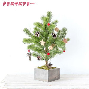 A NX}Xc[  k  ^ ~jc[ I[ig c[ NX}X LL  X   ͋CX CeA v[g Mtg j S[