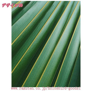 1000~OFFN[| A A[gpl G  t k  |X^[ Ǌ| A[gt[ _ A[g{[h G ꂽ CeA LoX ǃA[g ǂ̊G C