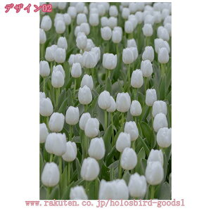 G t CXg CeA g A[gpl ǂ̊G |X^[ Ǌ| \t@̔wiG  Ǐ i A G ԕ k   A[gt[ _ A[g{[