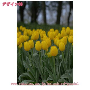 1000~OFFN[| A A[gpl G  t k  |X^[ Ǌ| A[gt[ _ A[g{[h G ꂽ CeA LoX ǃA[g ǂ̊G C