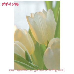 1000~OFFN[| A A[gpl G  t k  |X^[ Ǌ| A[gt[ _ A[g{[h G ꂽ CeA LoX ǃA[g ǂ̊G C