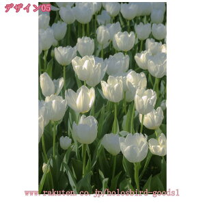 1000~OFFN[| A A[gpl G  t k  |X^[ Ǌ| A[gt[ _ A[g{[h G ꂽ CeA LoX ǃA[g ǂ̊G C