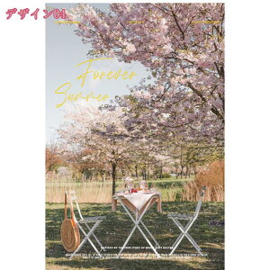 1000~OFFN[| A[gpl _ ʐ^ G CeA    Ǌ| i k i Ԃ̊G ǊG  L rO[ xbh[ p  뉀|pG