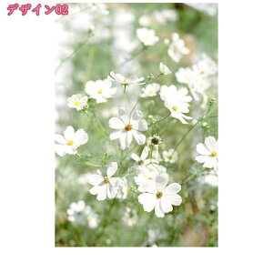 1000~OFFN[| CeAG t[ ʐ^ _ |X^[ A  pG RiG CeA A[gt[G rO[ ǂ̊GǊ| A[gpl