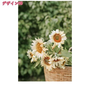 500~OFFN[| A[gpl  G G ʐ^ Ǌ| A[g _ A[g{[h ꂽ CeA A[g|X^[k A  CeA EH[A[g 