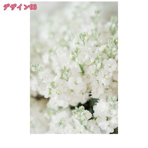 A[gpl  G G ʐ^ Ǌ| A[g _ A[g{[h ꂽ CeA A[g|X^[k A  CeA EH[A[g  LoX 