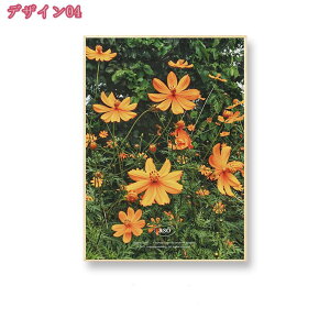 300~OFFN[| A[gpl A[g|X^[ LoXpl |X^[ CeA G _A[g k  EH[A[g ؘgZbg Ǐ  zt ꂽ Ce