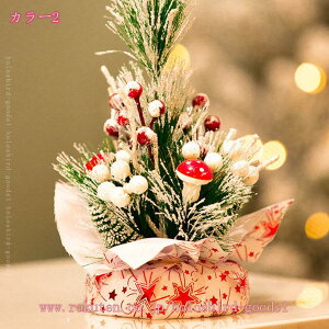 500~OFFN[| ~jNX}Xc[ c[ I[ig t  u  G v[g 蕨    X   ؐx[X CeA Christmas tree f