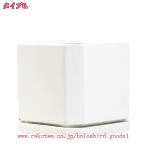 500~OFFN[| Aؔ A k ꌊt c  ʋC Vv t[|bg ` K[f|bg ~͔  _  oRj[ K[f K[fjOpi [