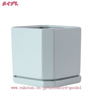 500~OFFN[| Aؔ A k ꌊt c  ʋC Vv t[|bg ` K[f|bg ~͔  _  oRj[ K[f K[fjOpi [