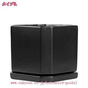 Aؔ A k ꌊt c  ʋC Vv t[|bg ` K[f|bg ~͔  _  oRj[ K[f K[fjOpi [bp ins 