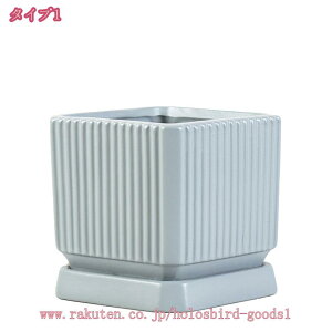 500~OFFN[| Aؔ A k ꌊt c  ʋC Vv t[|bg ` K[f|bg ~͔  _  oRj[ K[f K[fjOpi [