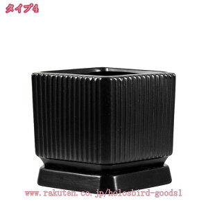 1000~OFFN[| Aؔ A k ꌊt c  ʋC Vv t[|bg ` K[f|bg ~͔  _  oRj[ K[f K[fjOpi [