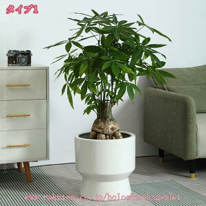 1000~OFFN[| v^[ ϗtA Z~bN t[|bg _ k Vv zCg rt vX`bNgCt ʋC CeA ~`  NGCeBu