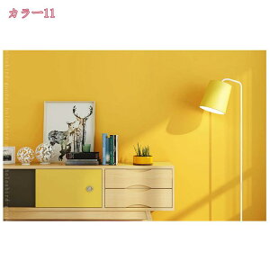 CNV[g    l ǎV[ n  ǎ NX h ϔM tH[V[g   Lrlbg JbeBOV[g ̂t DIYǎ rO