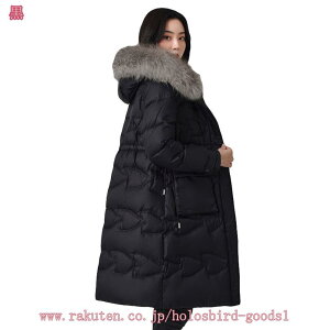 EgCg_E WPbg fB[X Cg_EWPbg y t[ht _EWPbg H~ h t@[ oR Ci[_E   O _ER[g Eg