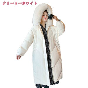 _ER[g fB[X O t[ht t@[t[ht fB[X_E EgCg Wp[ Ci[_ER[g tH~ _EWPbg g h _ Itz