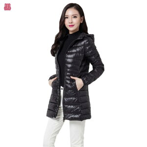 1000~OFFN[| _EWPbg fB[X y t[ht n O Cg_E 傫TCY Eg_Ep[J[ _ER[g ~ ۉ e _E ؍ H~ u