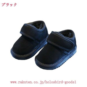 500~OFFN[| Xm[u[c LbY qC WjA EB^[ u[c ̎q j̎q V }WbNe[v EhgD XG[h h Ȃ  ʊw 㗚 q _E