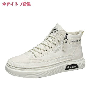 1000~OFFN[| Y obNpbLOu[c H pN u[c Y t@bV XG[h [XAbv I[goCu[c ubN re[W nCgbv V[Y Y nCJ