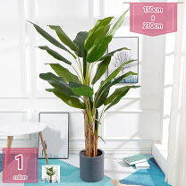 楽天市場】バナナの木（造花・人工観葉植物｜花・観葉植物）：花 