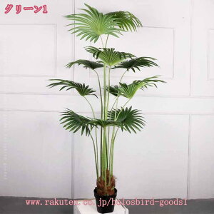 ヤシの木 人工観葉植物 フェイク」の人気商品一覧・価格比較 - 価格.com