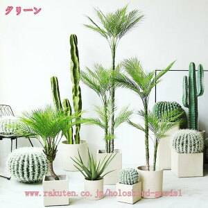 観葉植物 ヤシの木 インテリア」の人気商品一覧・価格比較 - 価格.com