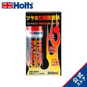 zc yCgh ϔMh q[gyCg bh ϔMx 200 ^Cv 300ml Holts MH11250