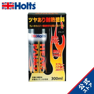 zc yCgh ϔMh q[gyCg ubN ϔMx 200  300ml Holts MH11252