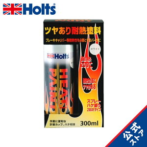 zc yCgh ϔMh q[gyCg zCg ϔMx 200  300ml Holts MH11253