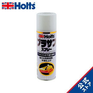 zc yCgh vTt zCg 300ml Holts MH11501 hh hOnp