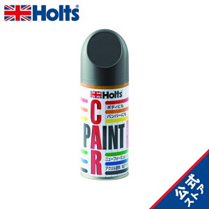 �z���c �����h���X�v���[ �J�[�y�C���g �z���_�ԗp NH737M �|���b�V���h���^���b�N 180ml Holts MH2748